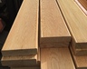 vilvet-A-970x970